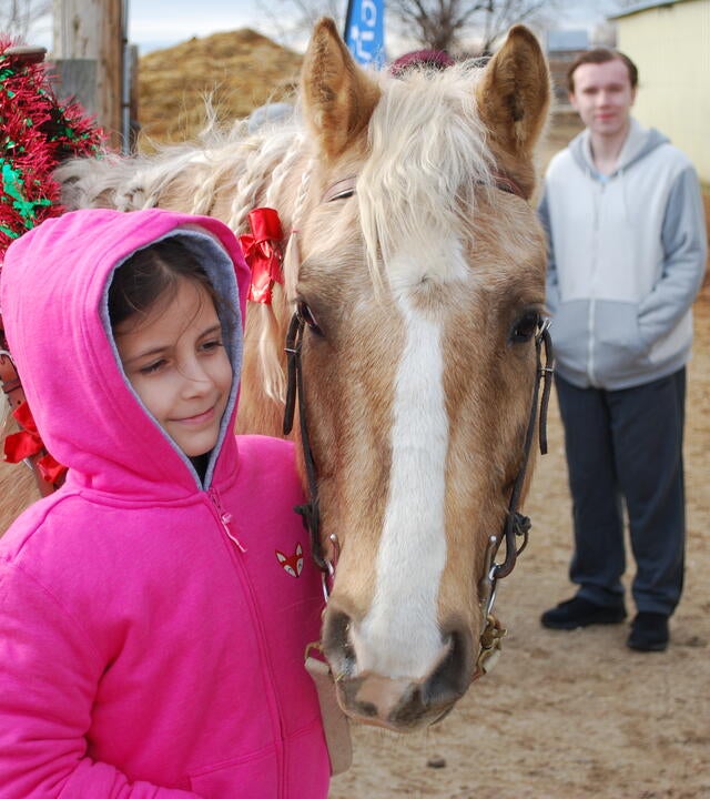 Addison_Horse_Wish