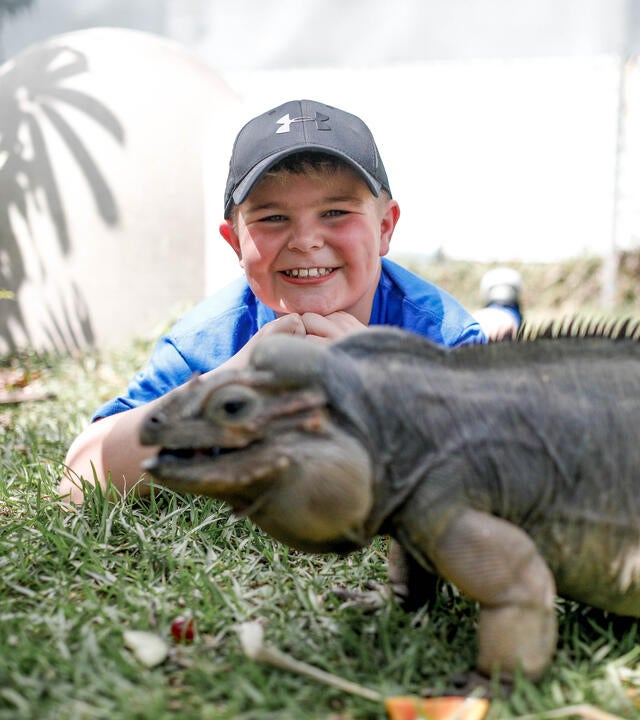 Brayton - reptile zoon - Iowa