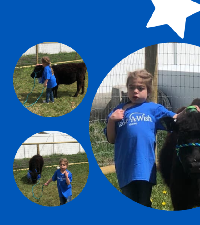 Avery_Cow_Wish