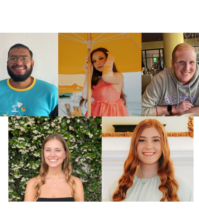 volunteer interns