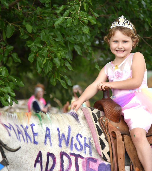 Addie's Wish to Have A Unicorn Party