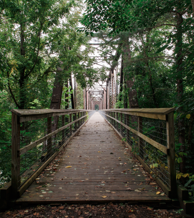 the Palmetto Trail