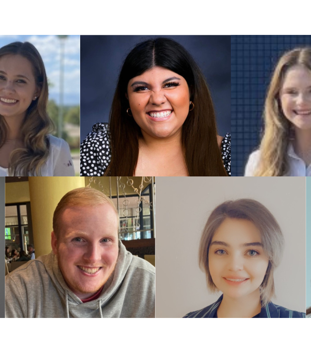 fall interns