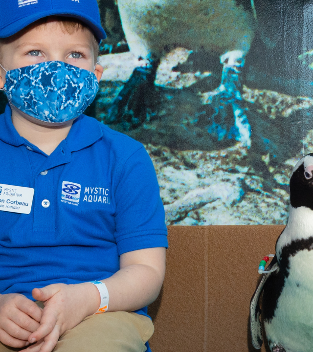 Jackson's Wish to be a Penguin Handler