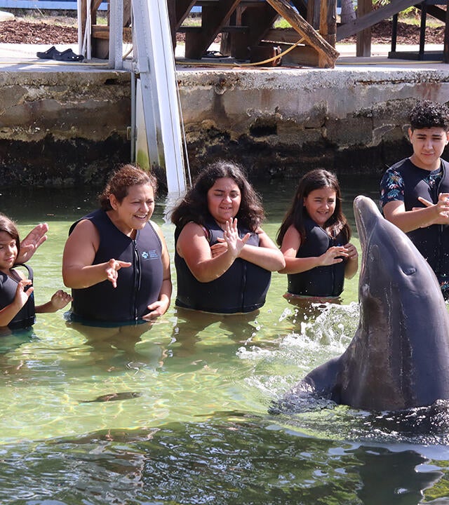 Beatriz's wish to swim with the dolphins