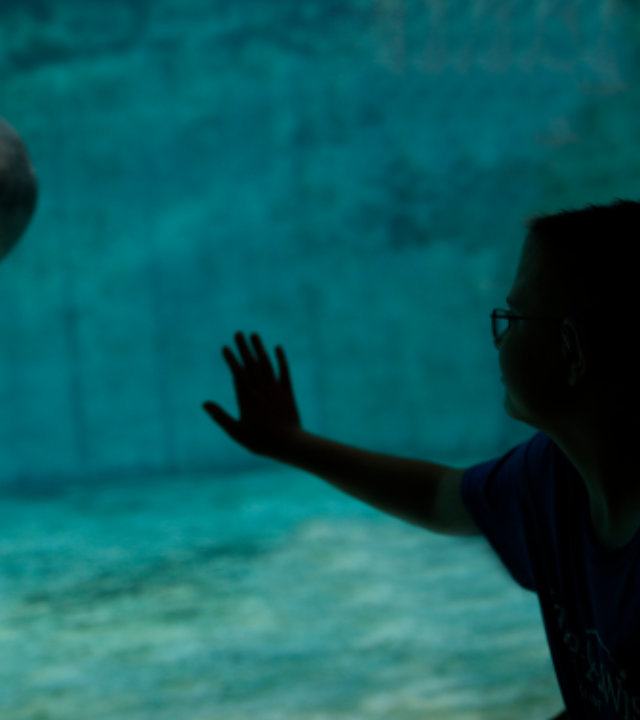 Kameron's Wish to Visit Rehabilitated Sea Animals