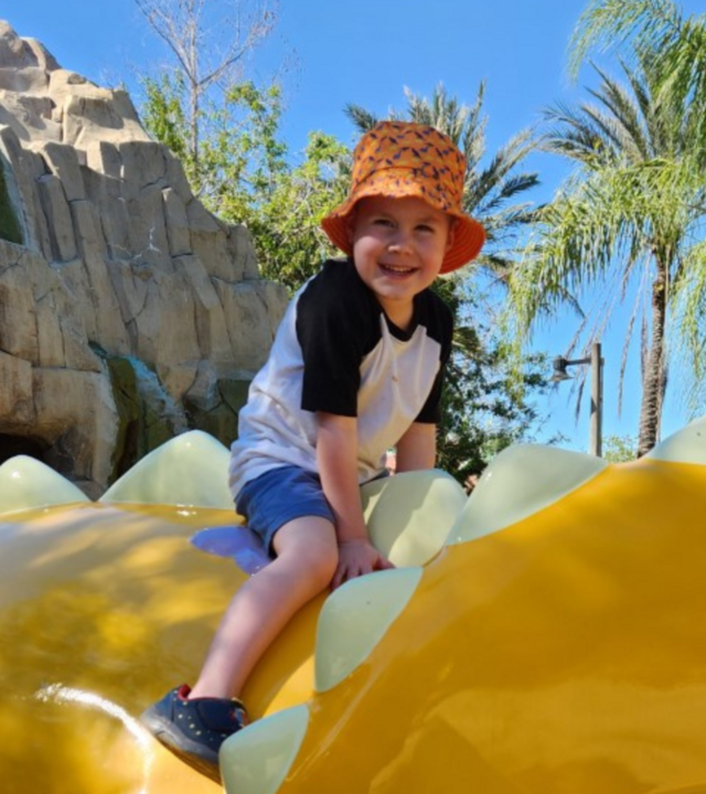 Grey_Disney_Wish