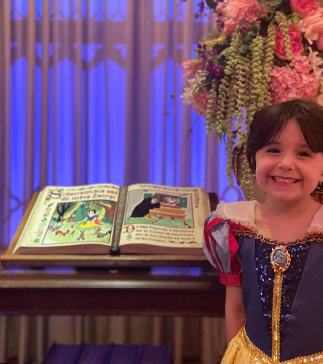Charlotte's Princess Adventure Wish