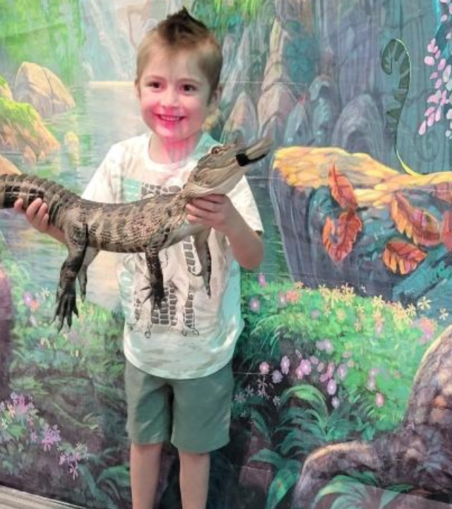 Lincoln's Wish to go to Jurassic Park