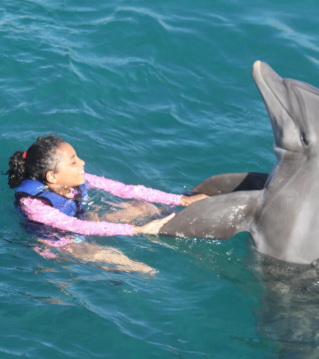 Analia and Dolphin