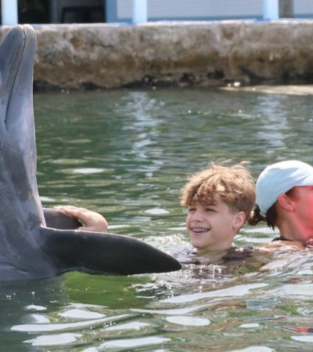 Dolphin and Oakley