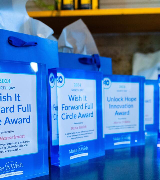 Wish Insiders Volunteer Awards