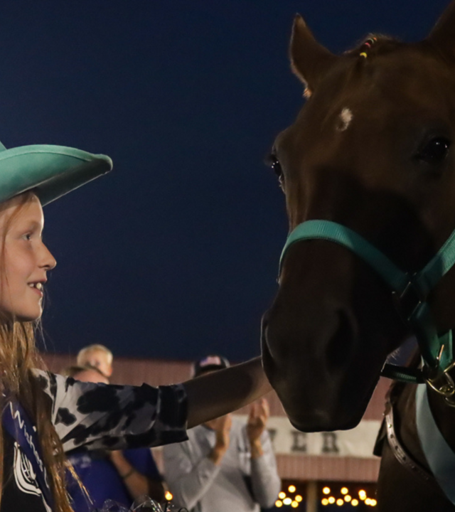 Kinsley_Horse_Wish