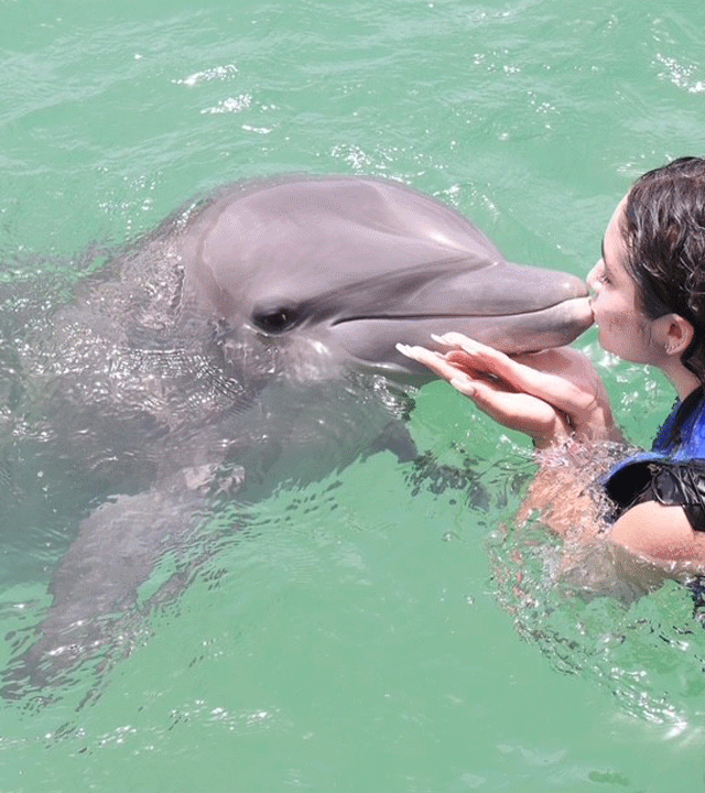 Bria kissing the nose of a dolphin