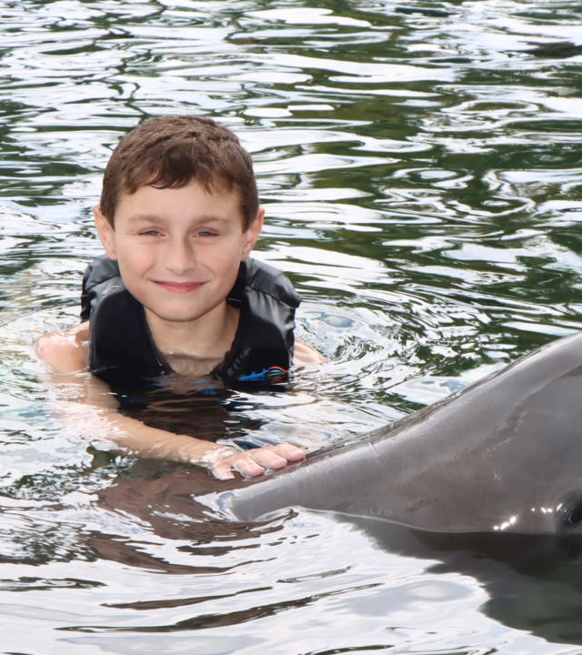 Branson and Dolphin