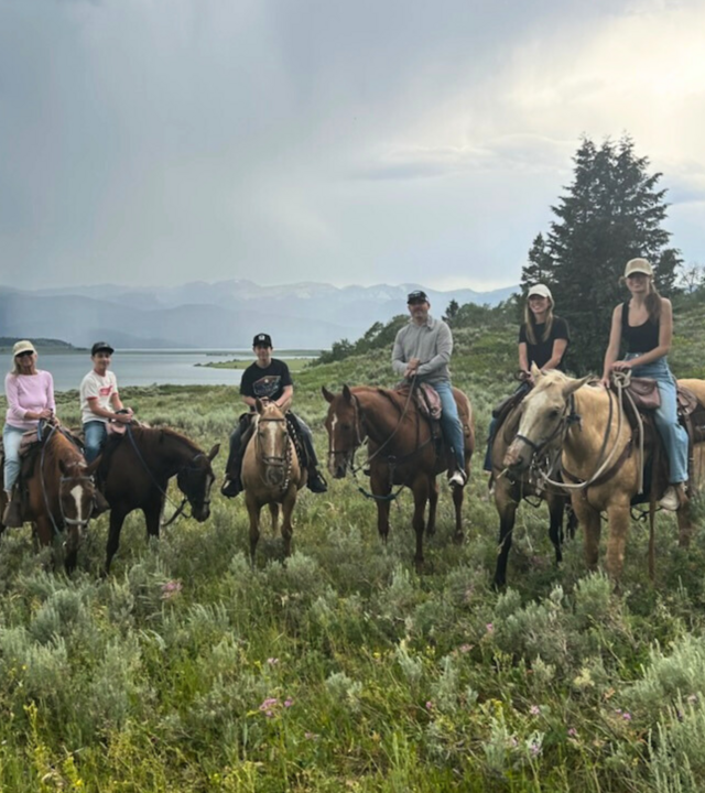 Yellowstone horses