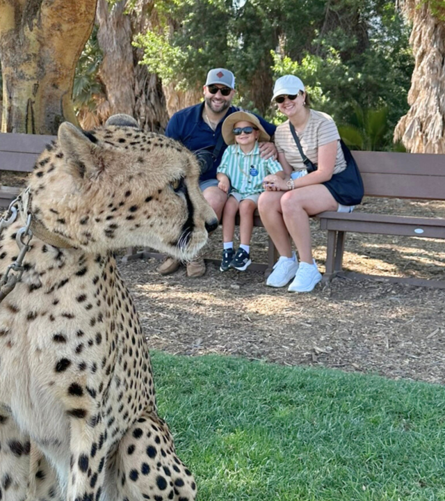 Luca's Cheeta