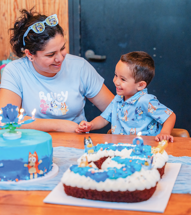 Gael's Bluey Birthday Bash