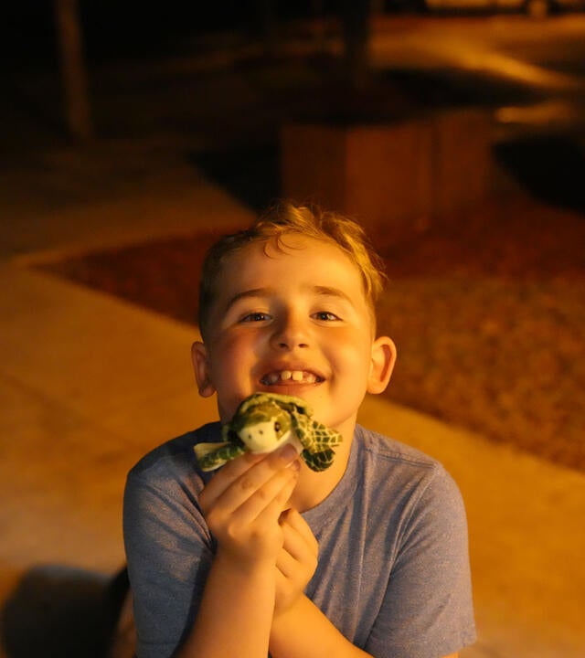 Hiram's Sea Turtle Adventure