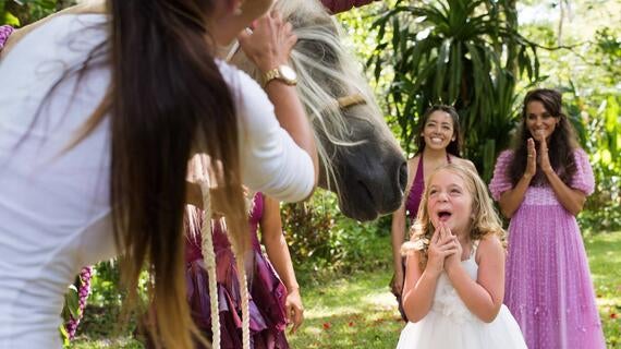 Addison Bulloch, I wish to meet a unicorn, at party