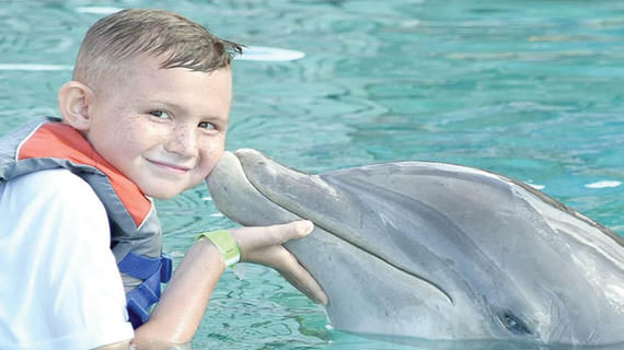 Gavin playing with dolphin