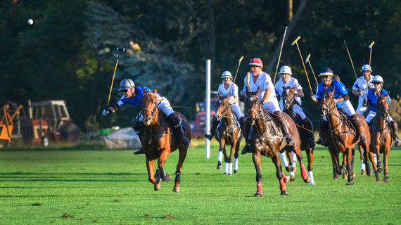 Seven riders wearing royal blue or white Make-A-Wish jerseys and carrying long wooden mallets ride galloping horses across a green field as they play a charity game of polo.