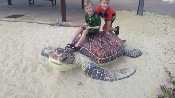 Two boys on turtle 