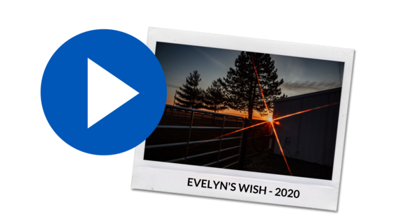 Watch Evelyn's Video