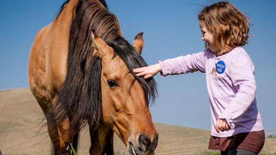 Corah pets Spirit the horse