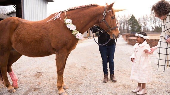 Gabby meets a unicorn during her wish.