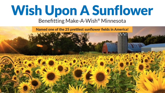 Sunflower Field Event Banner