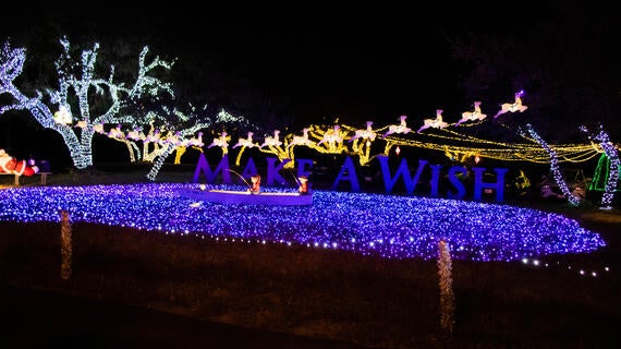 Reindeer flying over a beautiful pond made up of with blue Christmas lights.