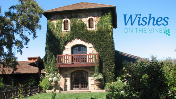 Wishes on the Vine at V. Sattui Winery