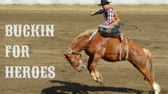 rodeo horse