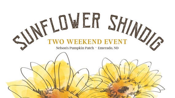 Sunflower Shindig FY24