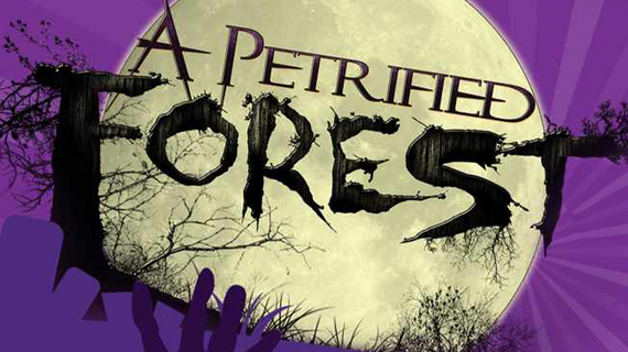 A Petrified Forest