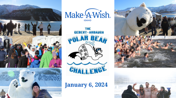 Polar_Bear_2024