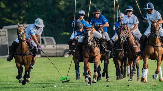A group of group riding horses swinging a golf club in sport.