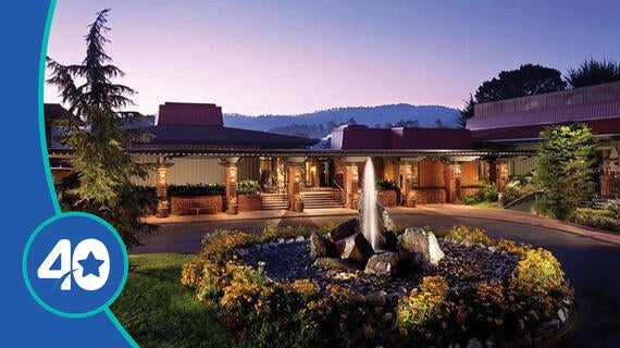 Wish Insiders on the Road: Monterey Bay
