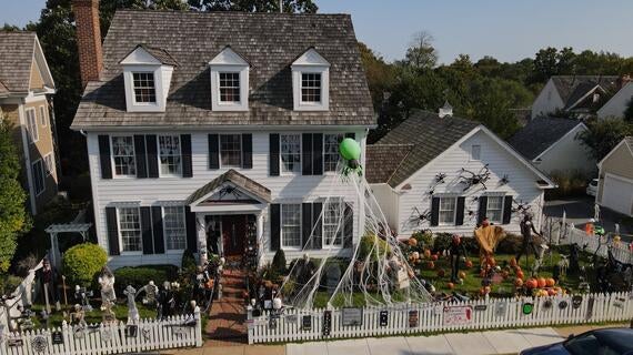 Spider Manor