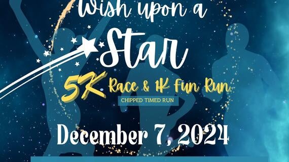 Wish Upon a Star 2024