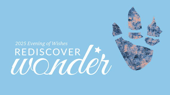 2025 Evening of Wishes: Rediscover Wonder logo with dinosaur footprint