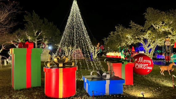 Photo from Maywald Christmas Lights Display