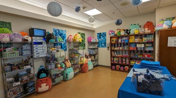 Indigo's Wish to Give Gifts to the Children at UNC Children's Hospital