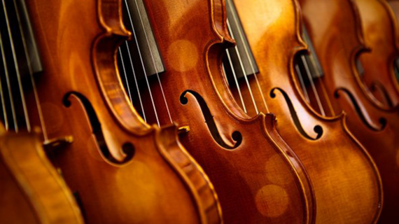 violins