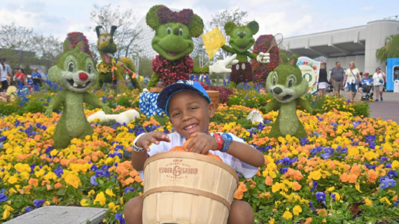 O'chai disney