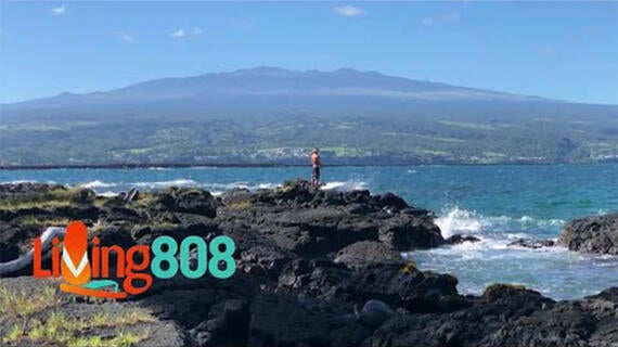 Aelyn on Living808 for World Wish Month