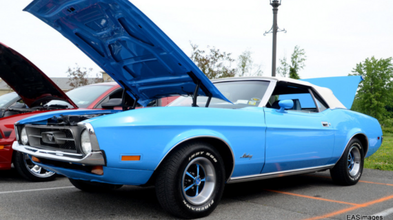 Shelby Mustang