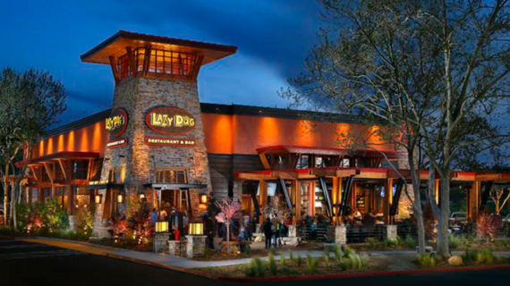 Lazy Dog Restaurant