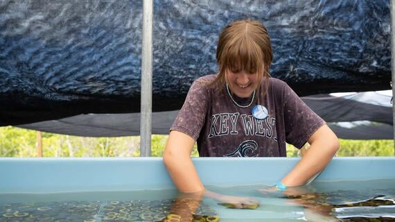 The photo shows a girl with her hands in an aquarium tank.